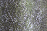 Chartershall fibreglass roof work